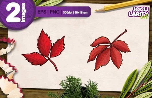 Cool Red Leaves Cartoon Illustration: A Seasonal Asset for Designers